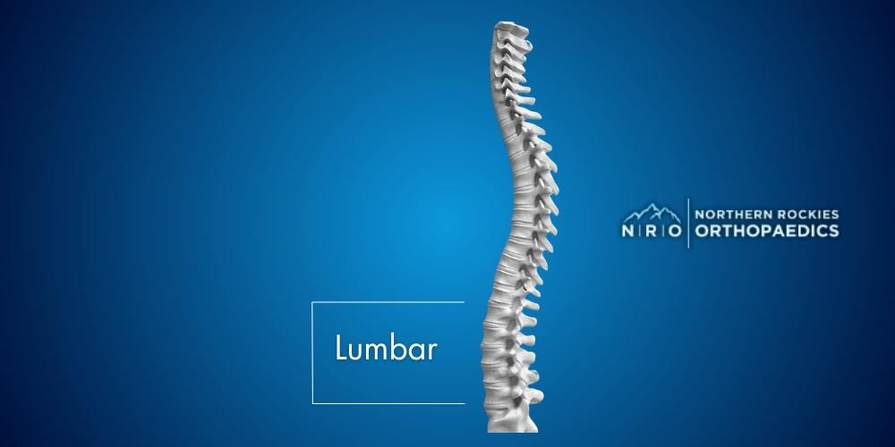 Lumbar Spine Conditions Missoula