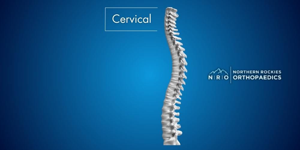 Missoula Montana Spine and Neck Conditions