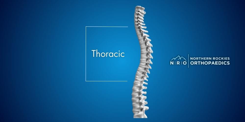 Thoracic Spine Conditions Missoula