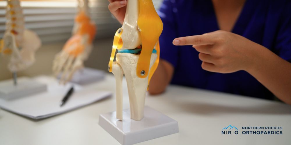 missoula, mt knee ligament injuries